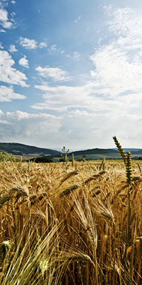 Urlaub/Ferien im Weserbergland - wunderschöne Landschaften